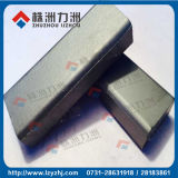 Professional STB Carbide Tips Manufacturer for Export