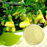 Natural Extract Genistein CAS: 446-72-0