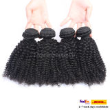 Wholesale Human Curly Hair Unprocessed Remy Peruvian Hair