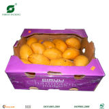 Paper Packaging Boxes for Fruit and Vegetables (Fp901453)