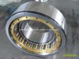 SKF/NSK Bearing/Roller Bearing/Cylindrical Roller Bearing (NU311M)