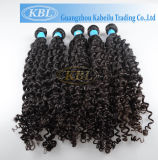 Virign Brazilian Hair Curly Hair Weaving (KBL-BH-CW)
