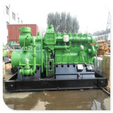 Green Power Electric Plant Manufacturer Cheap Big Biogas Plant Biogas Genset Price 350kw with Open Type
