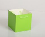 Paper Bag with Handle, Flower Bag, Bonsai Bag, Green and Environmental Bag