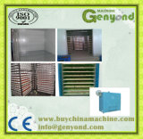 Continuous Belt Type Ginger Drying Machine
