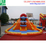 Giant Inflatable Water Slide, Double Sided Inflatable Water Slide (DJWS008)