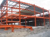 Steel Platform, Fabricated Steel Framing Building (SS-15250)