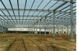 Steel Fabricated House, Light Steel Structure Building (SSW-215)