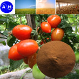 Micronutrients Amino Acid Chelate Organic Fertilizer