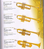 Trumpet Professional Model/ Professional Brass Body,Cupronickel Side, Monel Valves (JYTR-M360 JYTR-A660 JYTR-A665 JYTR-A666)