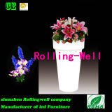 Decorative LED Plant Pot/ LED Lighting Pot/ Colorful Flower Pot