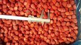 New Crop IQF Strawberry