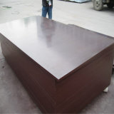 Poplar Core Marine Plywood with Melamine Glue