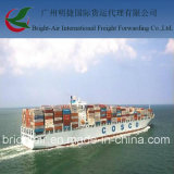 Shipping Agent Form China to Nigeria
