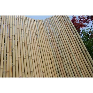bamboo-fence.jpg