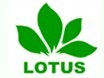 Guangzhou Lotus Trade Co., Ltd.