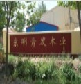 Dongming Qingfa Wood Industry Co., Ltd.
