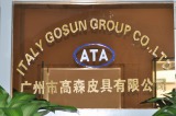 Italy Gosun Group Co., Limited
