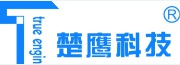 Wuhan True Engin Technology Development Co., Ltd. 