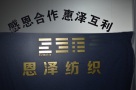 Haining Fengdia Electronics Co., Ltd