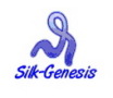 Xi'an Silk Genesis Textile Co., Ltd.