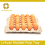 Lvyuan Environmentally Friendly Packing Materials Co., Ltd
