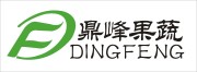 Handan Dingfeng Dehydrated Fruits and Vegetables Co., Ltd