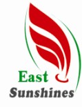 East Sunshines Corp.