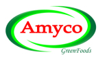 Amyco Group