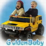 GoldenBaby Co., Ltd.