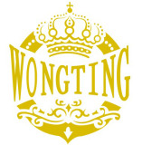 Guangzhou Wongting Electronic Technology Co., Ltd.