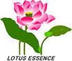 Wuxi Lotus Essence Co., Ltd.