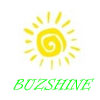 Shenzhen Buzshine Technology Co., Ltd