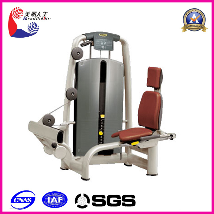 Seated Knee Raise Hot Gym Fitness Equipment