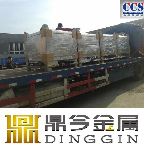 IBC Storage Tank for Chemical, Fuel, Oil, Dangerous Goods