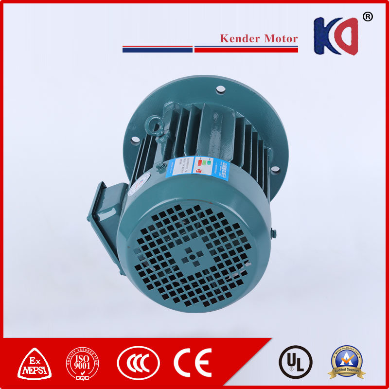 Electric Induction AC Asynchronous Motor
