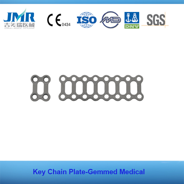 Key Chain Cranioplasty Plates