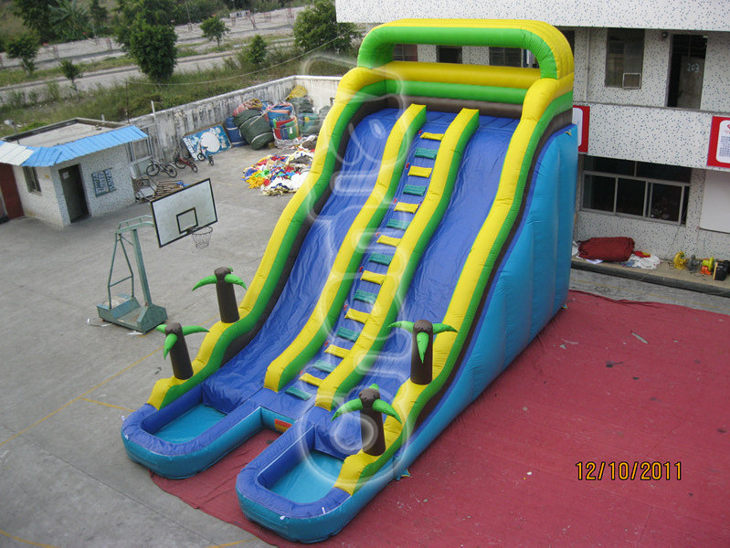 Jungle Double Lane Inflatable Water Slide with Climbing Chsl236
