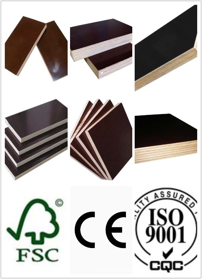 Linyi Top Quality Plywood