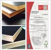 Egypt Market One Time Hot Press Film Faced Plywood