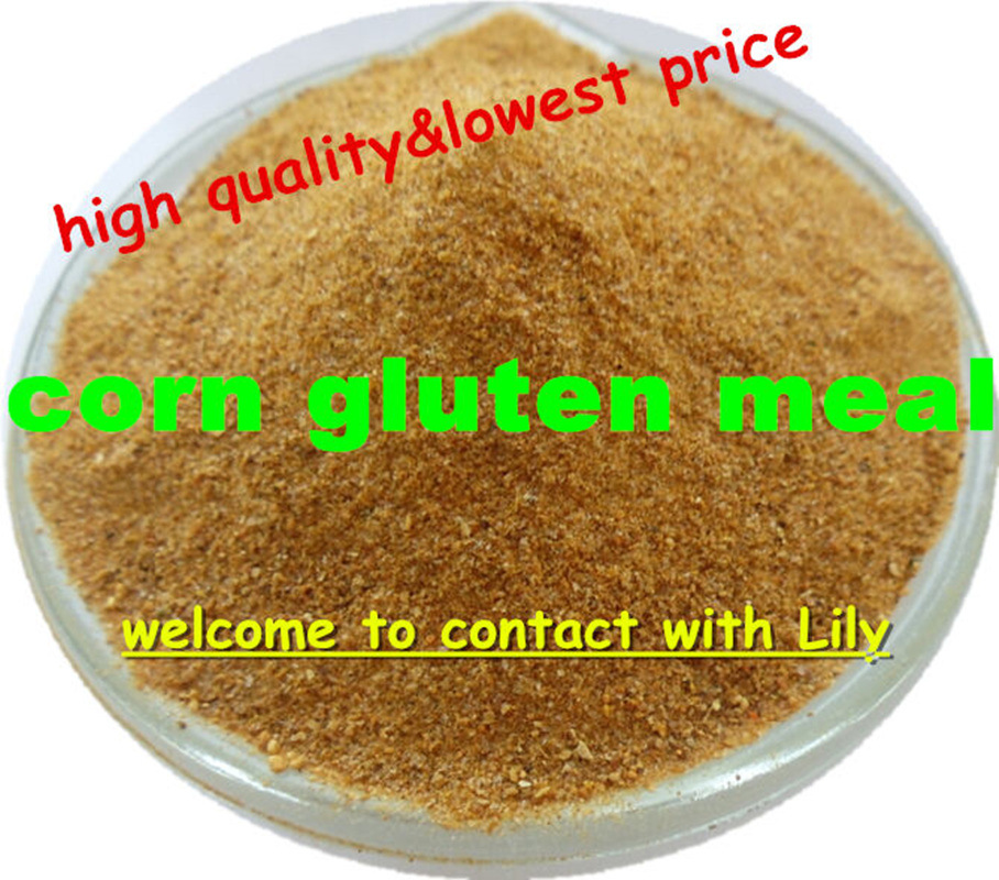 Corn Gluten Meal with Lowest Price for Chicken Feed