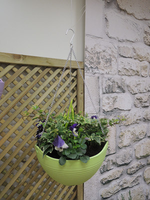 Colorful Hanging Baskets, New Product