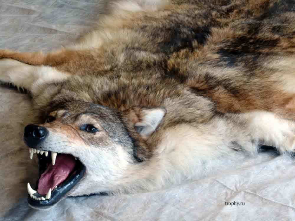 Simulation Wolf's Fur