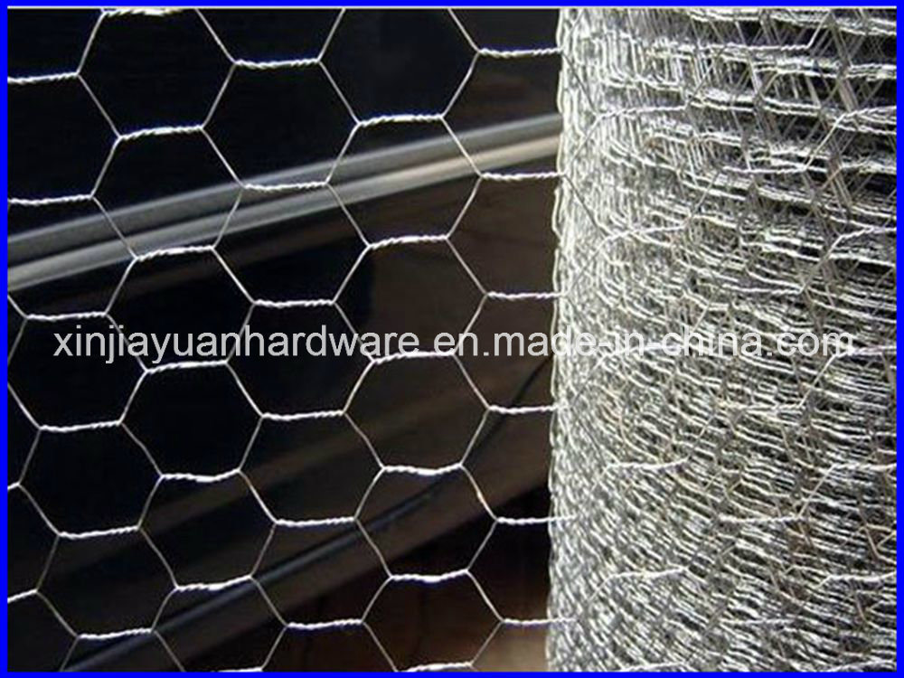 Hexagonal Wire Netting /Chicken Wire Netting /Pourltry Netting