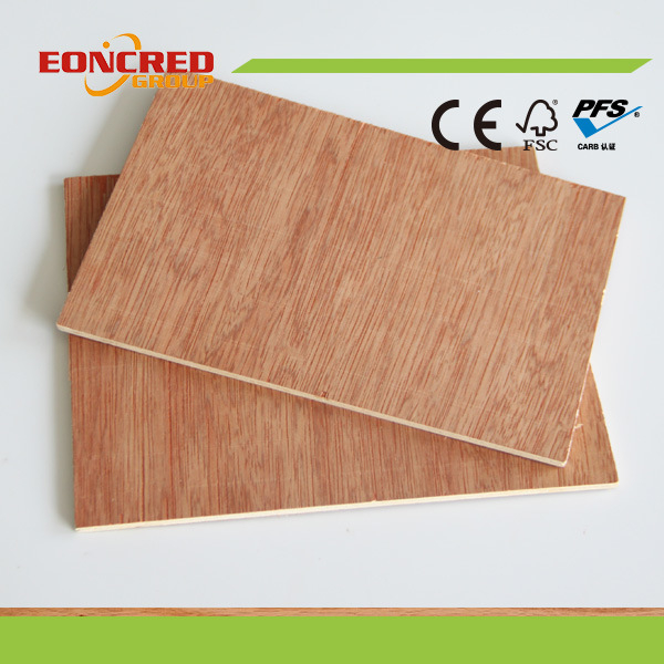Natural Beech Plywood for Furniture