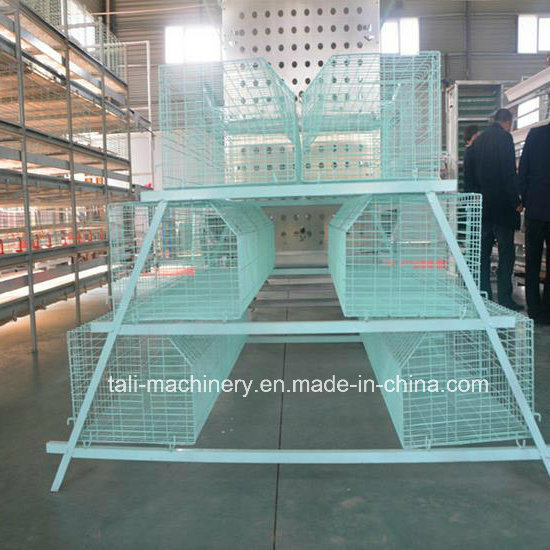 Hot Sales for Chicken Cage Laying Egg