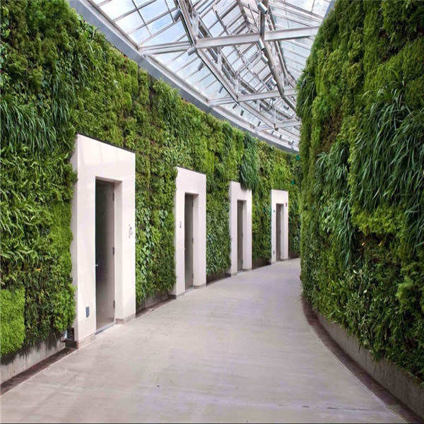 Elegant Corridor Decoration Artificial Plants Wall (SJ)