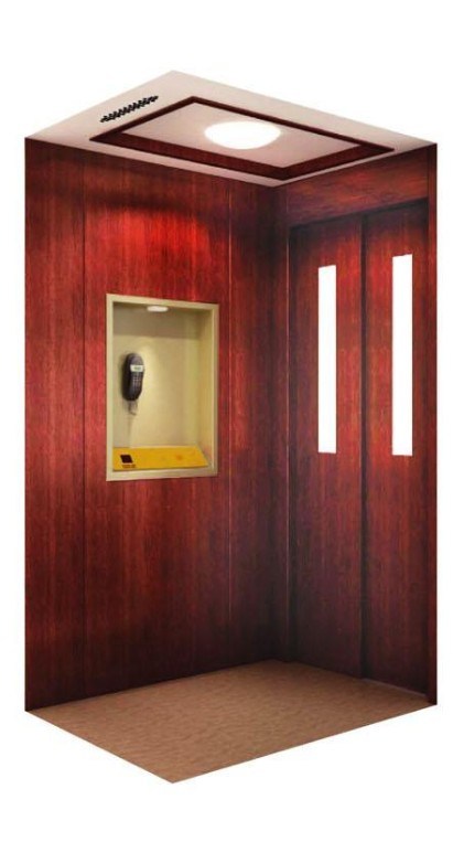 Home Elevator / House Elevator / Villa Elevator (V3)