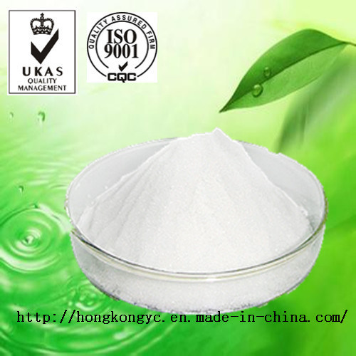 Theophylline / Theophylline Anhydrous CAS 58-55-9