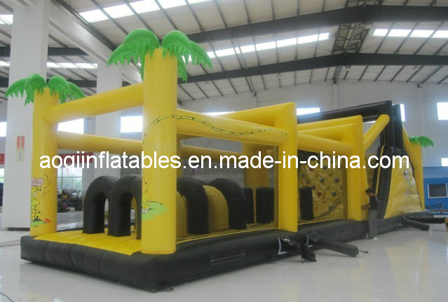 Inflatable Bouncer & Slide (AQ14152)